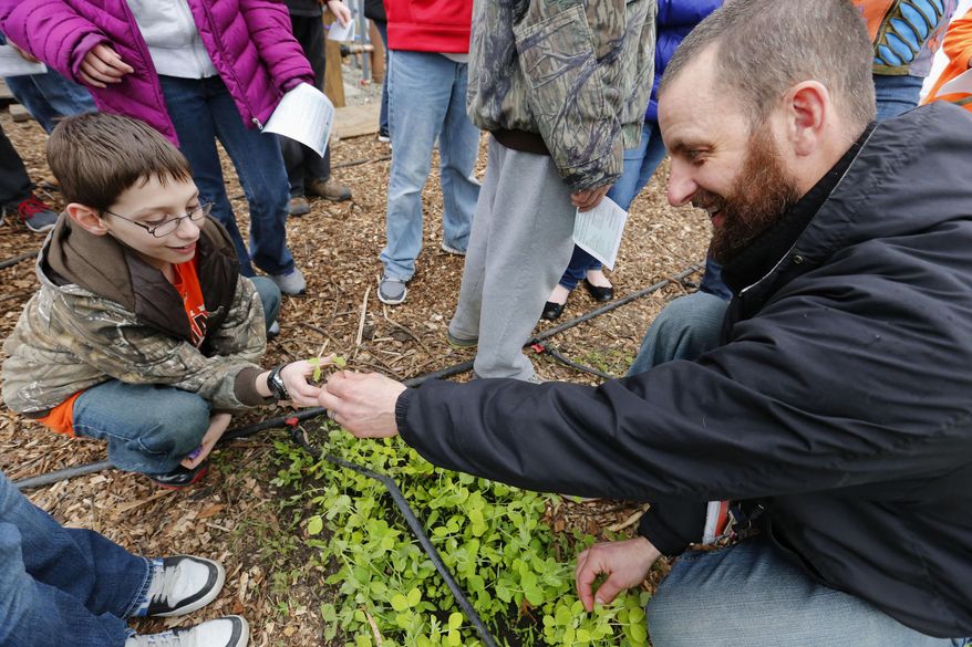 ADVANCE FOR SATURDAY APRIL 12 AND THEREAFTER - Cory Klehm, right, Fairfield Middle School science teacher, hands out pea sprouts to Fairfield Middle School sixth grader Mark Adler,12, during a visit to a greenhouse Friday, APRIL 4, 2014 in Fairfield, Iowa. The greenhouse uses waste heat from nearby Schaus-Vorhies Kleaning Inc. The recycled waste heat may be the first use of it's kind in an Iowa greenhouse. (AP Photo/The Register, Christopher Gannon) MAGS OUT, TV OUT, NO SALES, MANDATORY CREDIT