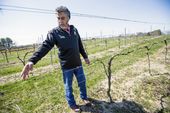 KOSHERWINE_05_04111206