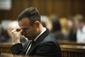 APTOPIX South Africa Pistorius Trial.JPEG-0254b.jpg