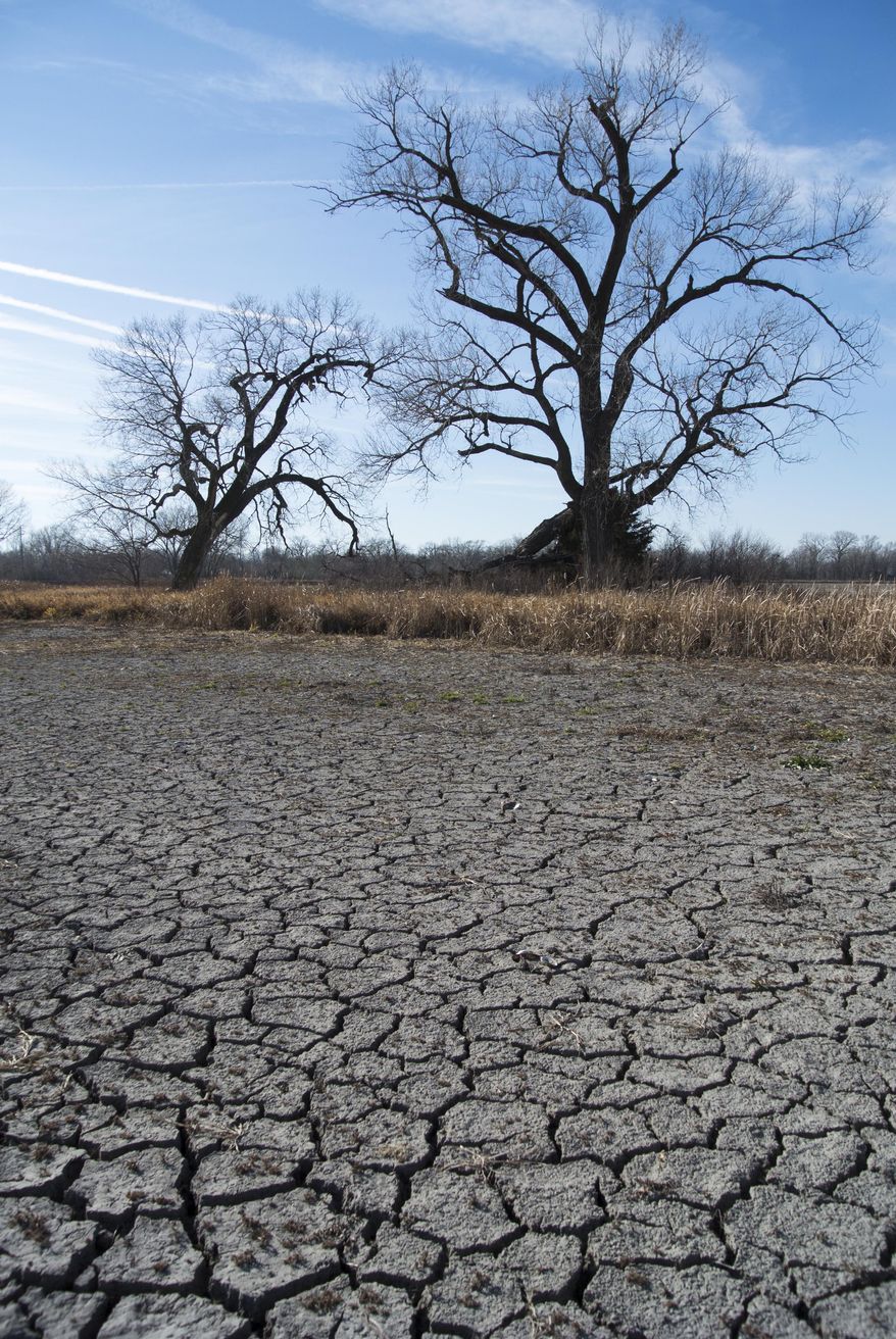 FILE - This Nov. 20, 2012 file photo shows a dried pond, the outcome of drought, in Waterloo, Neb. There are varying degrees of drought conditions in the Plains region, but a National Weather Service hydrologist says predicted above-normal rain for spring 2014 might ease some of the problem. Some people in the agriculture industry and with municipal water supplies are still wary. Nathan Fields with the National Corn Growers Association says that during the 2012 drought, he learned how quickly it can set in and affect crop production. (AP Photo/Nati Harnik, File)