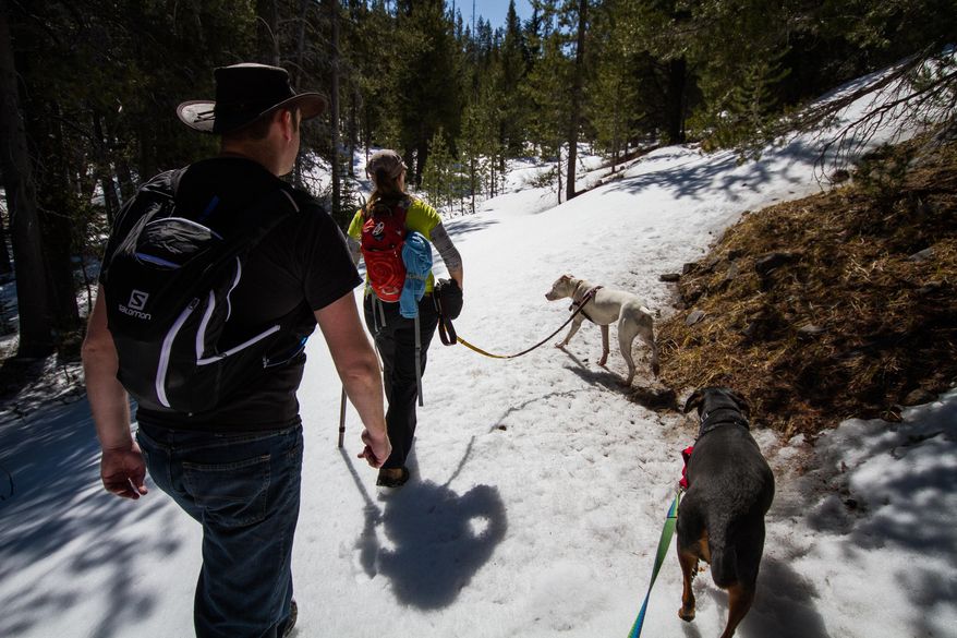 Samantha and Eric Tipler head out with dogs Cash, right, and Gadget for a hike in the Mountain Lakes Wilderness area near Klamath Falls, Ore., March 23, 2014. Exploring the endless trails in the Klamath Basin has to offer is made even more enjoyable when your faithful companion, your dog, is along for the journey, too.(AP Photo/Herald and News, Steve Silton)