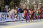 cf957659a49ffe0f510f6a706700ef41.jpg