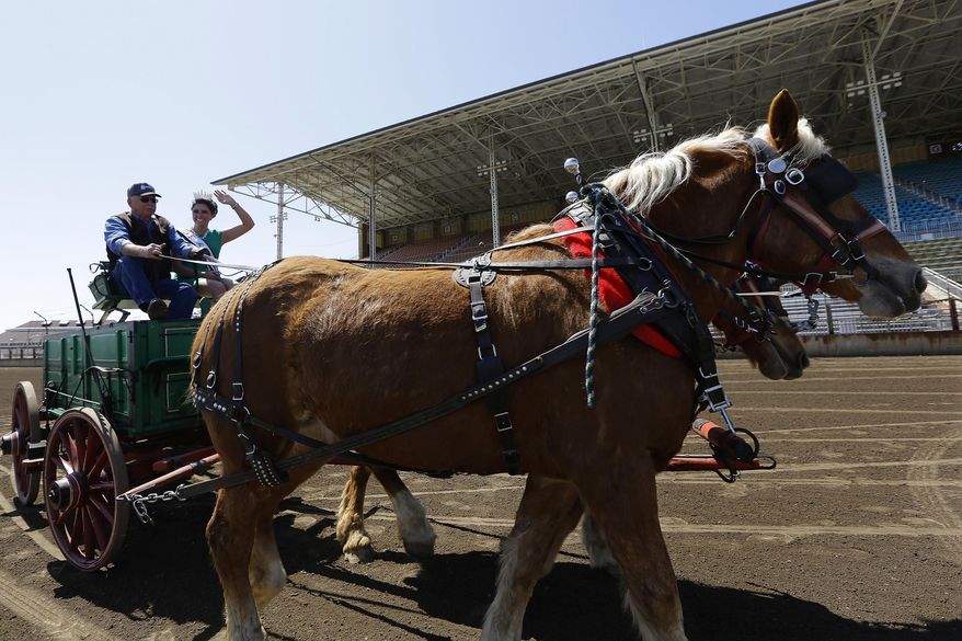 Jim Winch of Pleasant Plains, Ill., drives his team of Belgian draft horses with Summer Robbins, the 2014 Miss Illinois County Fair Queen by his side during a press preview at the Illinois State Fairgrounds Tuesday, April 22, 2014, in Springfield, Ill. The Illinois State Fair will run Aug. 7 through Aug. 17. (AP Photo/Seth Perlman)