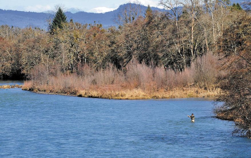 A fly fisherman casts for winter steelhead above TouVelle State Park on the Upper Rogue River near Central Point, Ore., in this undated photo.  For fly-fishers a huge benefit of living in or visiting the Rogue Valley is the ability to test your mettle on the river Zane Grey made famous. (AP Photo/Mail Tribune, Jamie Lusch)