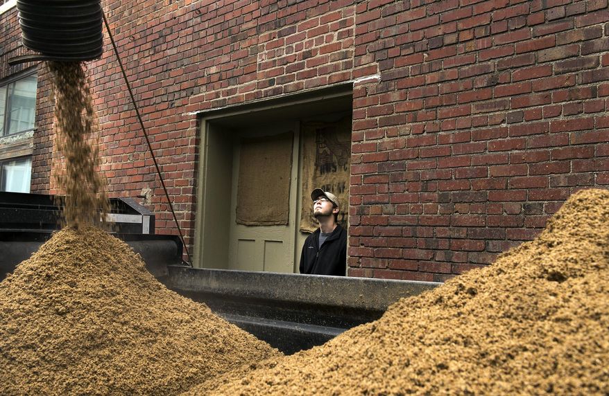 FILE - In this April 2, 2014 file photo Calvin West, from Meyer Dairy Farm, watches spent grain bound for the farm fill a trailer at Empyrean Brewing in Lincoln, Neb. The federal government is backing off proposed regulations aimed at preventing livestock contamination that brewers say would add to their costs without improving the safety of grain used to feed livestock. Many beer makers sell or give grain leftover from the brewing process to farmers, who use it as feed for dairy cows and other animals. (AP Photo/The Journal-Star, Gwyneth Roberts, File)
