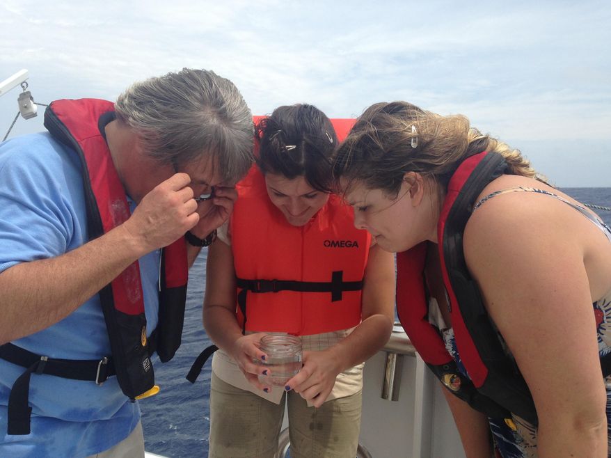 ADVANCE FOR MONDAY, APRIL 28 AND THEREAFTER - In this March 29, 2014, photo, University of Florida neurobiologist Leonid Moroz and graduate students Emily Dabe, center, and Gabrielle Winters examine an invertebrate species they caught by net in the Gulf Stream off the coast of Florida. Moroz is on a quest to decode the genomic blueprints of fragile marine creatures in real time _ on board the ship where they were caught. (AP Photo/Lauran Neergaard)