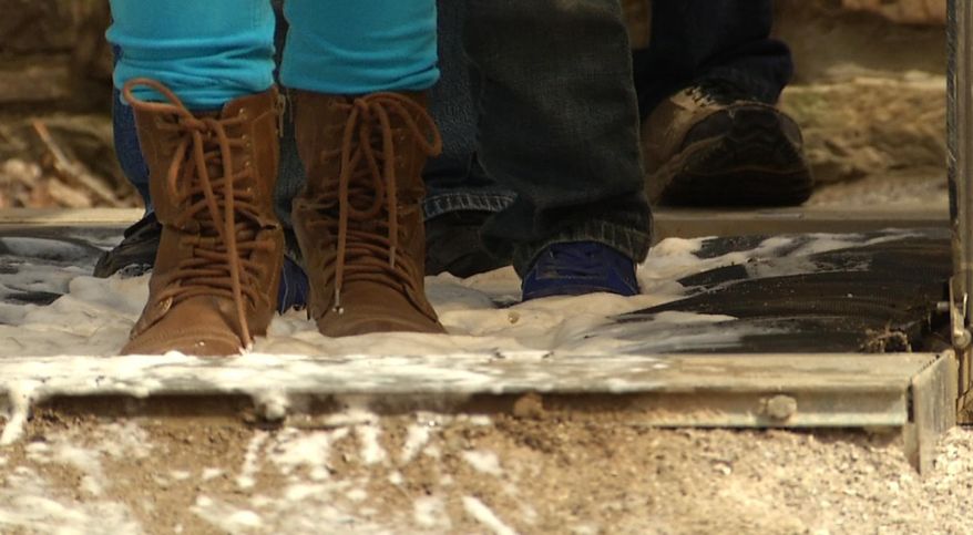 In this image from video, visitors to Mammoth Cave National Park in Mammoth Cave, Ky., walk over bio-security mats at the conclusion of cave tours to help contain the spread of white-nose syndrome. The disease that has killed more than 6 million cave-dwelling bats in the United States is on the move and wildlife biologists are worried. It gets its name from a white fungus that's found on the muzzles, ears and wings of infected bats. In Tennessee, some caves are closed to the public. At Mammoth Cave National Park, visitors are required to scrub their shoes after cave tours. Wildlife biologists say the threat is real -- there is no known way to stop the spread. (AP Photo/Alex Sanz)