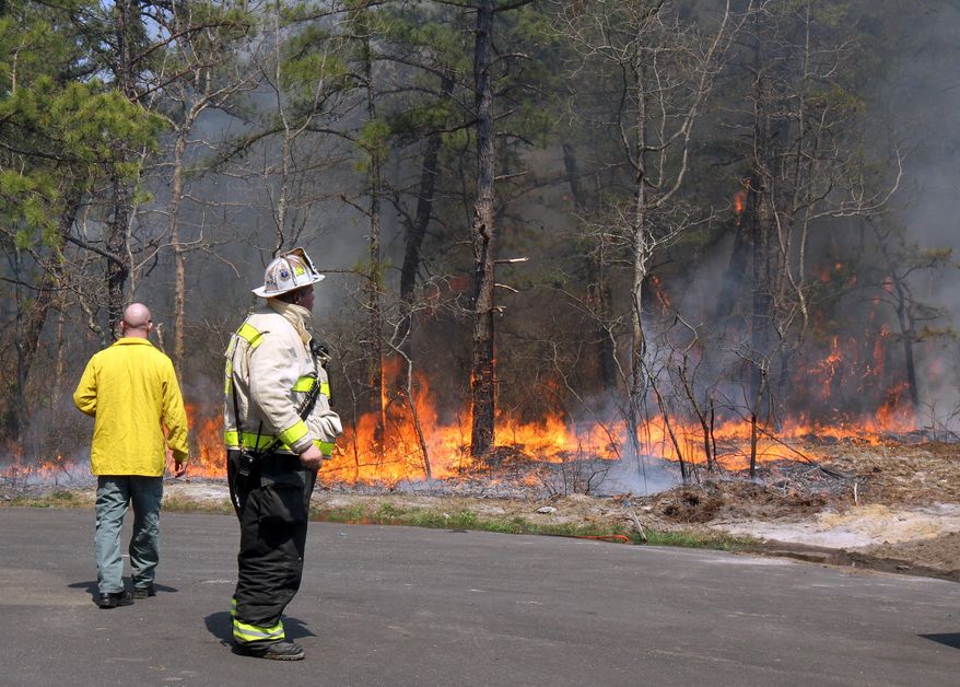Silverton Fire Department assistant chief Bob Sinnott watches a cross between forest fire and back burning to control the fire at the end of Livingston Avenue No in Bayville, NJ, which borders Beachwood, Thursday April 24, 2014. (AP Photo/The Asbury Park Press, Tanya Breen)