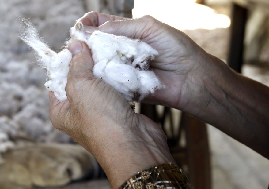 In this Wednesday, April 23, 2014 photo, Linda Russell, director of the Burton Cotton Gin Museum, demonstrates how seeds used to be removed from cotton by hand at the Burton Farmers Gin in Burton, Texas. The Burton Farmers Gin is the oldest working gin in the country at 100 years old. (AP Photo/Pat Sullivan)