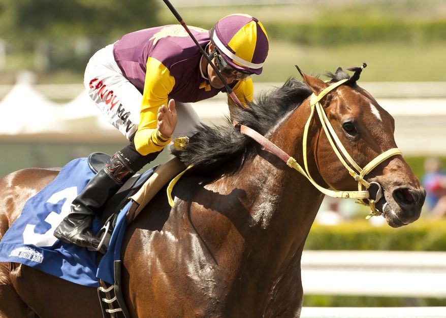 In this photo provided Benoit Photo, jockey Edwin Maldonado celebrates aboard Storm Fighter after winning the Tiznow Stakes horse race at Santa Anita Park Saturday, April 26, 2014, in Arcadia Calif. (AP Photo/Benoit Photo)