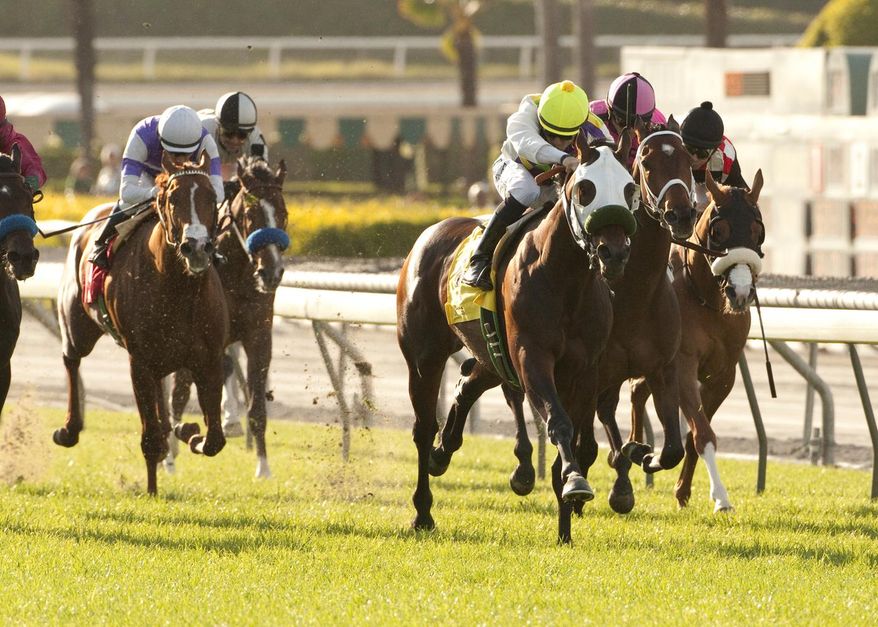 In this photo provided by Benoit Photo, Richard Kritzski's Awesome Return and jockey Joe Talamo (yellow cap) win the $250,000 Snow Chief Stakes horse race, Saturday April 26, 2014, at Santa Anita Park in Arcadia, Calif. (AP Photo/Benoit Photo)