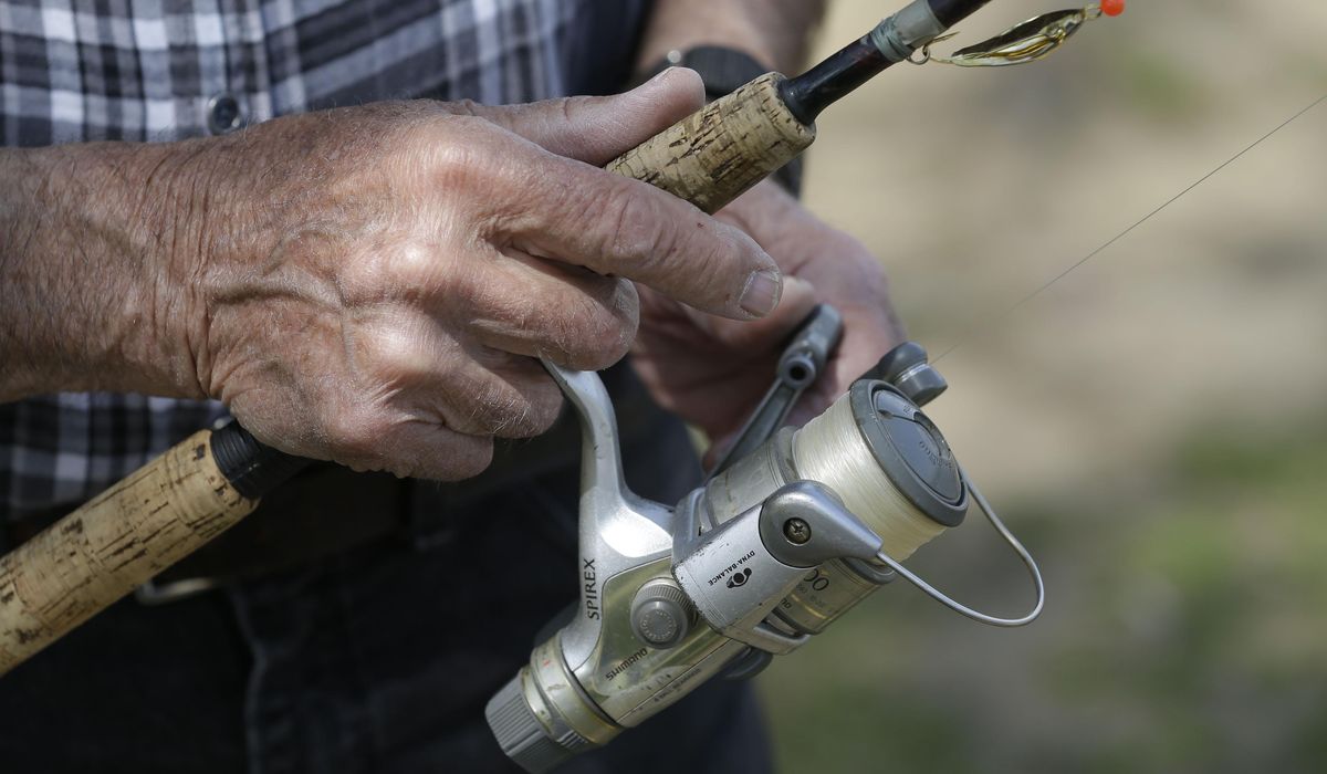 NextImg:Virginia angler reels in rare golden-colored largemouth bass