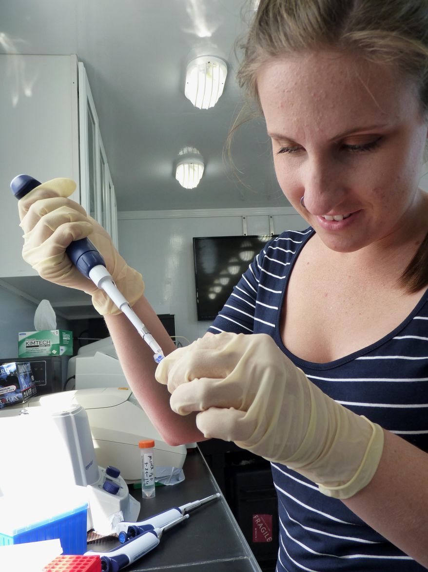 This March 30, 2014, photo, University of Florida graduate student Rachel Sanford works with samples of mysterious sea creatures called comb jellies in a unique floating laboratory, sailing off the coast of Florida. (AP Photo/Suzette Laboy)
