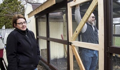 In this April 4, 2014 photo, Martin and Angie Wolske enjoy the world of urban farming in their own yard as they talk about how their 6-week-old chickens, currently staying indoors under a heat lamp, will eventually be housed in this area outside their home in Champaign, Ill. The Wolske farm isn't in your typical sprawling, country field. They have a corner lot in the middle of a residential neighborhood, and their chickens were made legal for the first time this spring under the city's new ordinance that lets residents keep hens in their backyards. (AP Photo/The News-Gazette, Heather Coit) MANDATORY CREDIT