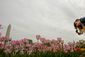 STANDALONE_20140428_002.JPG