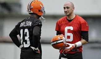 Cleveland Browns quarterback Brian Hoyer (6) talks with wide receiver Nate Burleson (13) during a voluntary minicamp workout at the team&#39;s NFL football training facility in Berea, Ohio, Tuesday, April 29, 2014. (AP Photo/Mark Duncan)