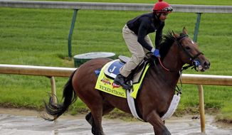 Exercise rider Kelvin Pahal takes Kentucky Derby hopeful Wicked Strong for a morning workout at Churchill Downs Monday, April 28, 2014, in Louisville, Ky. (AP Photo/Charlie Riedel)