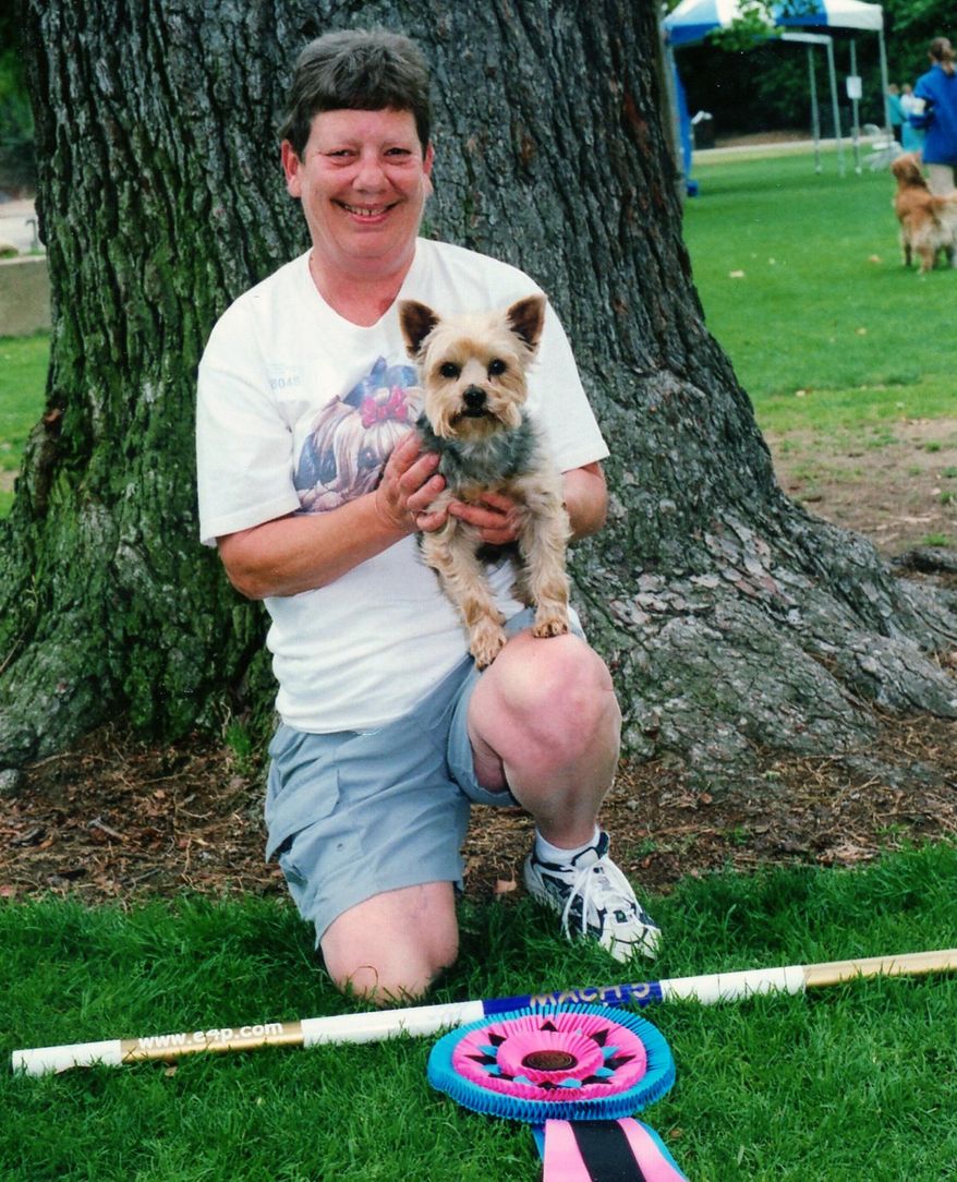 This June 11, 2005 photo provided by Debra Beilstein shows Pam Shelby with her Yorkie, Desi, 9 years old during a Kennel Club event in Pasadena, Calif. Desi (aka MACH 13 Desmond Aloysius Shelby CD) was the No. 1 agility dog in the country in his class from 2001 to 2007. In 2005, he came in second in the AKC Nationals. The Yorkshire terrier is the most popular toy breed in the United States today, ranking No. 6 on this year’s list of all AKC-registered breeds. (AP Photo/Debra Beilstein)