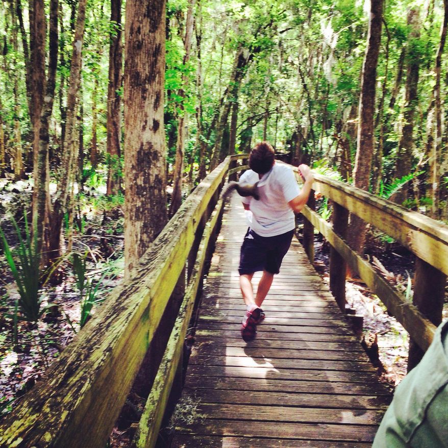 In this photo made Saturday, April, 26, 2014, and provided by Brian Genest, a squirrel clings to the back of Brian Genest at John Chestnut Park near Tampa, Fla. Genest, 17, of Auburn, Maine, said the flash and noises from his camera phone scared the animal, which climbed under the teen's shirt and hung onto his back before scampering back out. (AP Photo/Paula Wright)