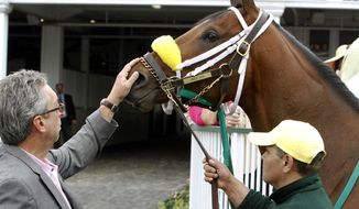 Trainer Gary Contessa pets Kentucky Derby entrant Uncle Sigh as they school in the paddock at Churchill Downs Friday, May 2, 2014, in Louisville, Ky. (AP Photo/Garry Jones)