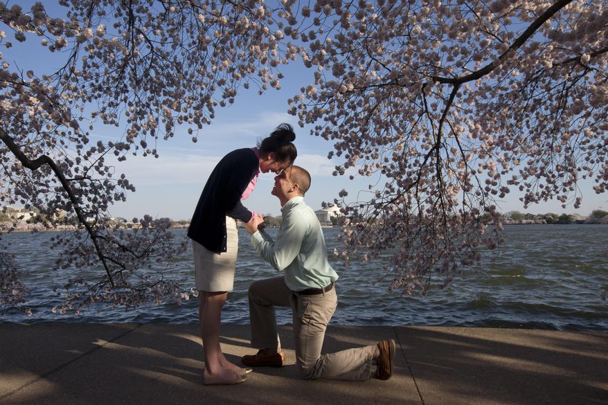 Steven Paska, 26, right, of Arlington, Va., asks his girlfriend of two years Jessica Deegan, 27, to marry him as cherry blossom trees in peak bloom line the tidal basin with the Jefferson Memorial in the background in Washington, Thursday, April 10, 2014. Deegan said yes to the surprise marriage proposal. (AP Photo/Jacquelyn Martin) **FILE**