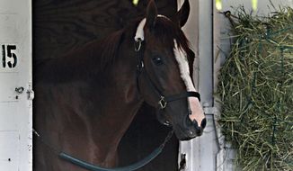 Kentucky Derby winner California Chrome looks out of his stall at Churchill Downs in Louisville, Ky., Sunday, May 4, 2014.  (AP Photo/Garry Jones)