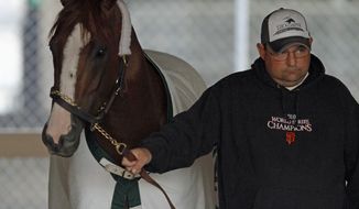 California Chrome, winner of the 140th Kentucky Derby, walks the shed row with assistant trainer Alan Sherman at Churchill Downs in Louisville, Ky., Sunday, May 4, 2014.  (AP Photo/Garry Jones)
