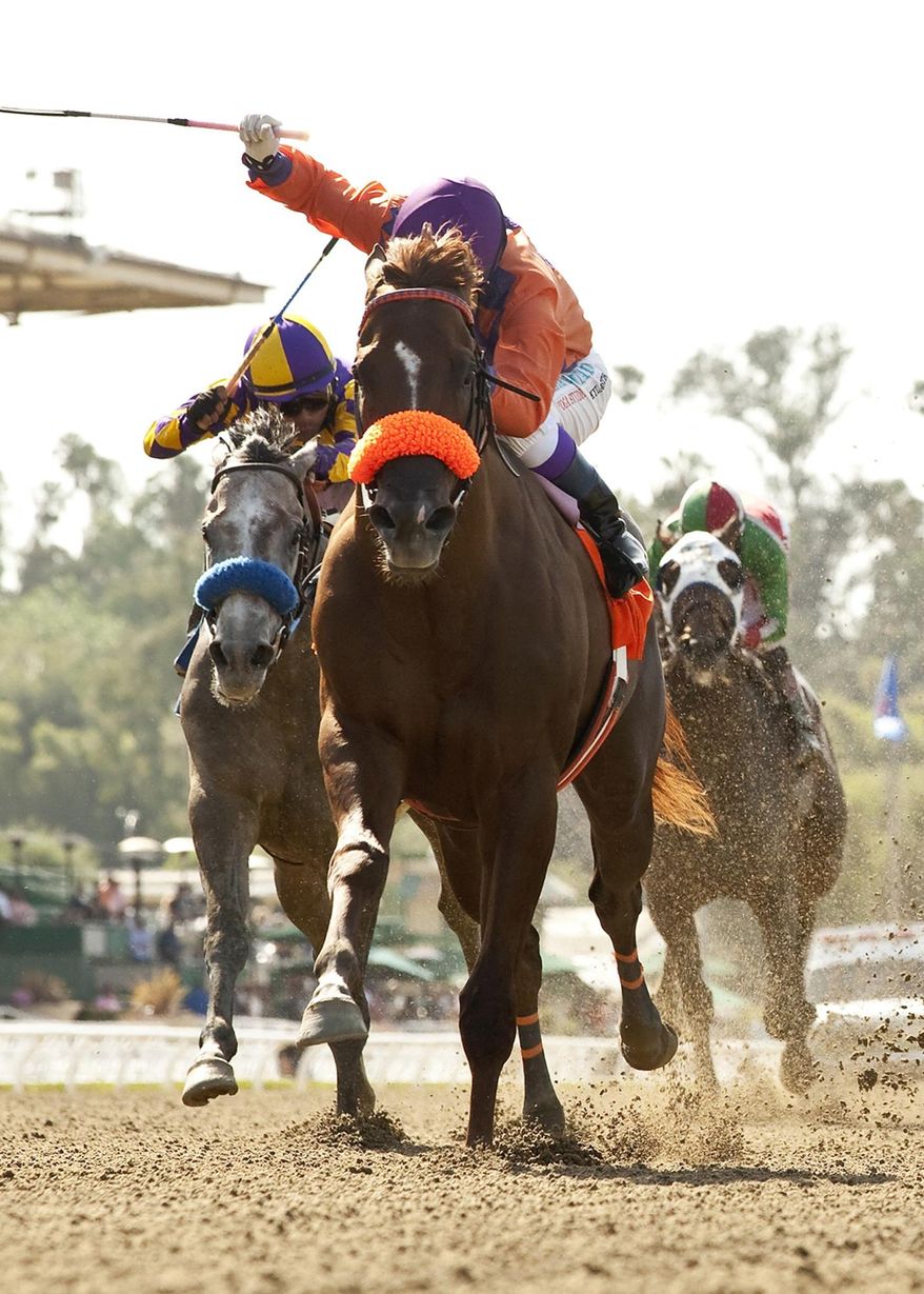 In this photo provided by Benoit Photo, Top Fortitude and jockey Kayla Stra win the Grade III $100,000 Lazaro Barrera Stakes horse race, Saturday, May 10, 2014, at Santa Anita Park, in Arcadia, Calif. (AP Photo/Benoit Photo)