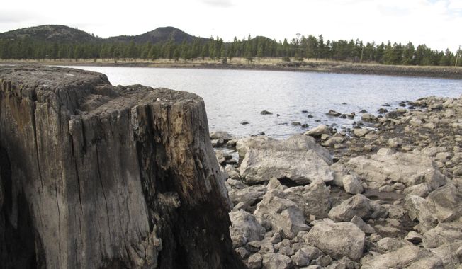 In this April 11, 2014 photo, low reservoir levels reveal tree stumps and a cracked lake bed in Williams, Ariz. Officials in Williams have declared a water crisis amid a drought that is quickly drying up nearby reservoirs and forcing the community to pump its only two wells to capacity.(AP Photo)