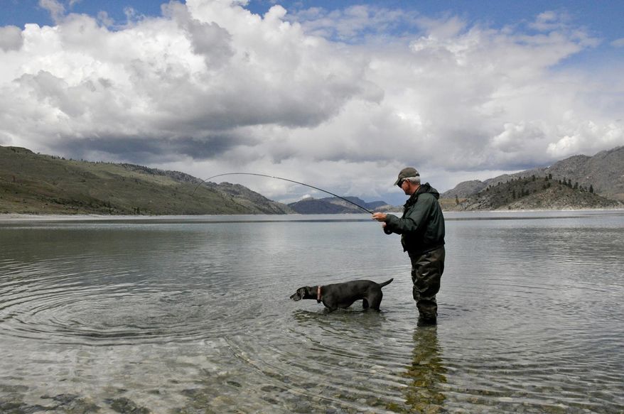 Fly fisherman Walt Balek stands with his dog, Cargo, as he lands a Lahontan cutthroat trout at Omak Lake, May 5, 2014, on the Colville Indian Reservation in Washington. Scattered about the million-acre reservation, two dozen of about 35 fishable lakes are open to non-tribal anglers. A few of them range from good to outstanding. All of them are crowd-free. (AP Photo/The Spokesman-Review, Rich Landers)