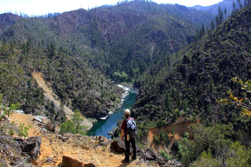 In this April 18, 2014 photo, Justin Rohde hikes the Illinois River Trail in search of kalmiopsis leachiana, a rare wildflower found only in the Siskiyou Mountains and Kalmiopsis Wilderness area of southwest Oregon. (AP Photo/Statesman Journal, Zach Urness)