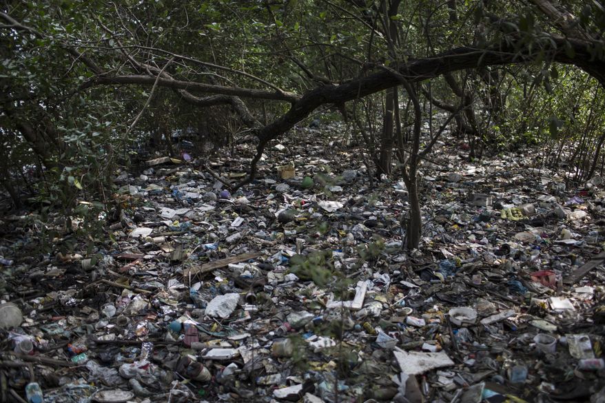 In this May 15, 2014 photo, trash litters a forested area on the shores of Guanabara Bay in Rio de Janeiro, Brazil. The country will not make good on its commitment to clean up Rio de Janeiro's sewage-filled Guanabara Bay by the 2016 Olympic Games. Authorities pledged to cut by 80 percent the flow of pollution into Guanabara Bay by the 2016 Games through the expansion of the sewage network and the construction of River Treatment Units, or RTUs, built at the mouths of rivers flowing into the bay. The facilities would filter out much of the sewage and trash. But little progress has been made on either front. (AP Photo/Felipe Dana)