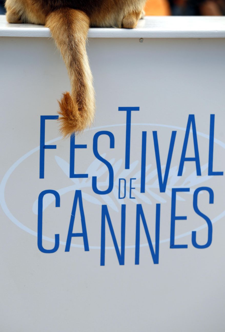 In this Saturday, May 17, 2014 file photo, the tail of a dog hangs off the edge of a table during a photo call for White God (Feher Isten) at the 67th international film festival, Cannes, southern France, Saturday, May 17, 2014. Proving that it’s a dog eat dog world, four-legged performances have stolen the show in a number of films screened at the festival from top directors including Jean-Luc Godard and David Cronenberg. And there’s no clear front runner. (AP Photo/Alastair Grant)