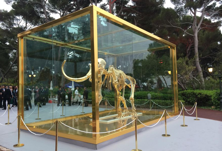 In this photo taken on Thursday, May 22, 2014, British artist Damien Hirst's latest piece entitled "Gone but Not Forgotten", which features the gilded skeleton of a woolly mammoth in a steel and glass vitrine, is displayed at an amfAR event in Cap d'Antibes, southern France. Famed British artist Damien Hirst created the gilded woolly mammoth skeleton encased in a gold tank to be auctioned off at the annual amfAR Cinema Against AIDS gala. (AP Photo/Nekesa Moody)