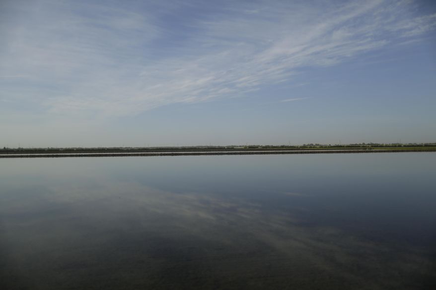 This May 3, 2014, photo shows some rice fields owned by second-generation rice farmer Al Montna flooded with water in Yuba City, Calif. “In a good year we wouldn’t be able to stand here unless we got wet. This year it won’t produce anything,” said Montna as he knelt in the dust, pulling apart dirt clods on the 1,800 acres he left idle because of scarce water. (AP Photo/Jae C. Hong)