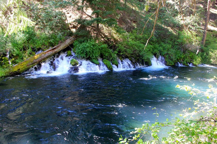In this photo taken on June 3, 2013, springs rumble into the Metolius River and can be seen from the Metolius River Trail just downstream of Canyon Creek Campground in Oregon. (AP Photo/Statesman-Journal, Zach Urness)