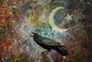 5_292014_b4-bauer-islam-crow8201.jpg