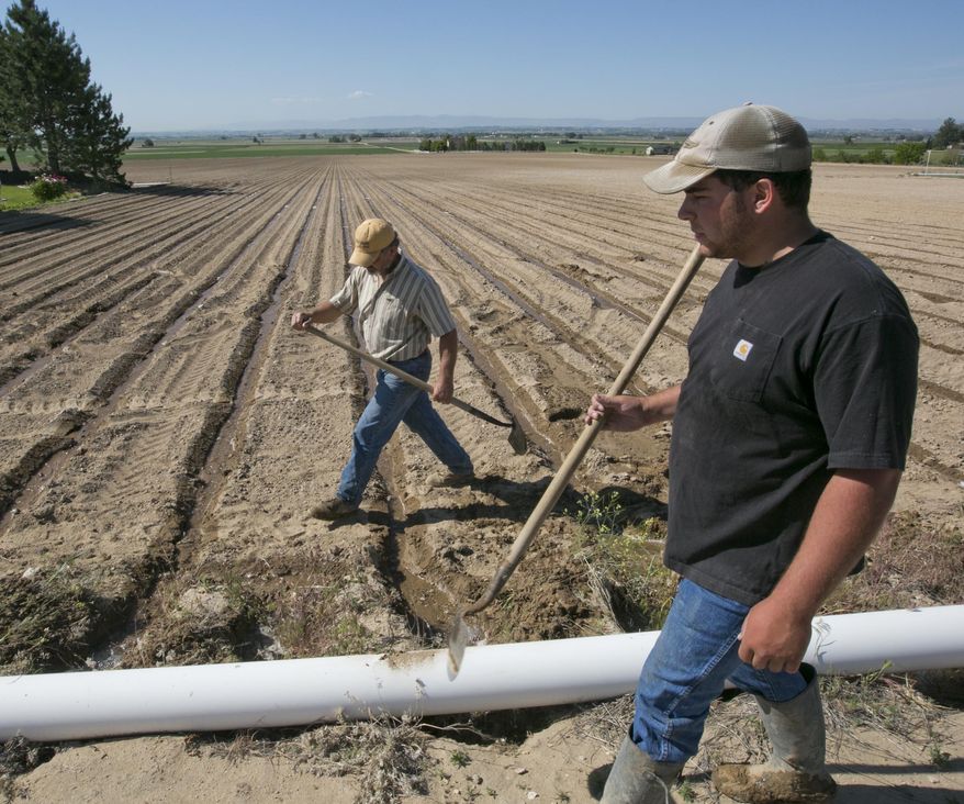 Sid Freeman, 53, and his son Wes Freeman, 22, right, fix an irrigation line at a portion of land on their farm near Caldwell Friday May 23, 2014. (AP Photo/The Idaho Statesman, Darin Oswald)