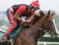 belmont-stakes-horse-racingjpeg-030c7_mugshot_four_by_three.jpg