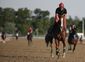 Belmont Stakes Horse _Lanc.jpg