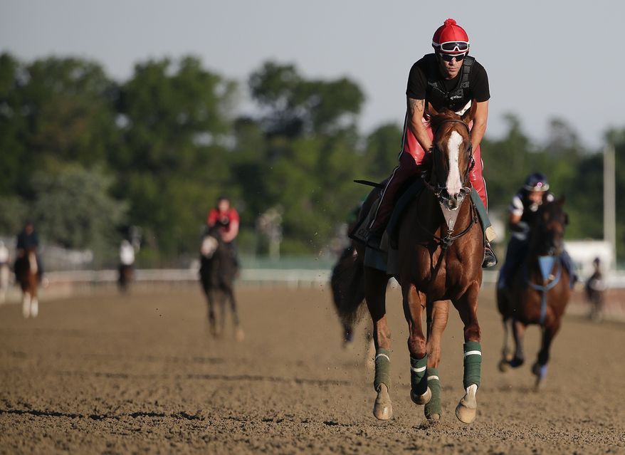 California Chrome takes a lap, with exercise rider Willie Delgado up, during a workout at Belmont Park, Friday, June 6, 2014, in Elmont, N.Y. The Kentucky Derby and Preakness Stakes winner will attempt to become the first Triple Crown winner since Affirmed in 1978 when he races in the 146th running of the Belmont Stakes horse race on Saturday. (AP Photo/Julie Jacobson)