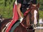 belmont-stakes-horse-_lanc1_mugshot_four_by_three.jpg