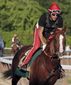 Belmont Stakes Horse _Lanc(1).jpg