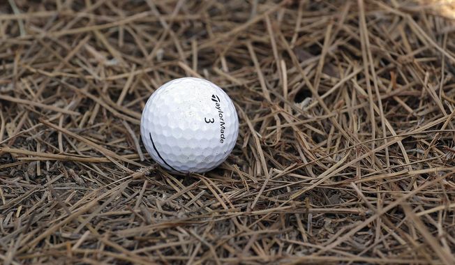 A golf ball rests in pine needles on the third hole during a practice round for the U.S. Open golf tournament in Pinehurst, N.C., Wednesday, June 11, 2014. (AP Photo/Eric Gay) **FILE**
