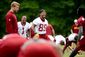 REDSKINS_20140611_001.JPG