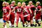 REDSKINS_20140611_019.JPG