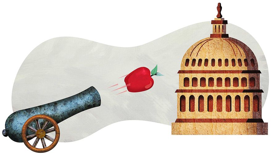 Cannon Shot on Government Waste Illustration by Greg Groesch/The Washington Times