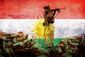 7_1_2014_b4-lyons-kurdish-so8201.jpg