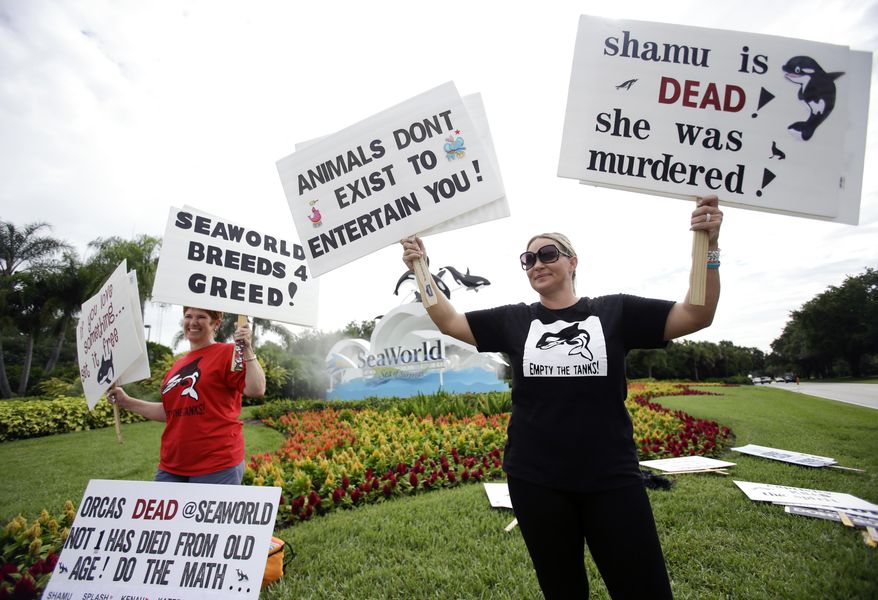 In this April 11, 2014 photo, Jana Wiggins, left, and Amy Waz, hold up protest signs at the entrance to the Sea World theme park in Orlando, Fla. Animal rights activists contend that killer whales have shorter life expectancies in captivity than in the wild. (AP Photo/John Raoux)