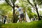 STANDALONE_20140707_001.JPG